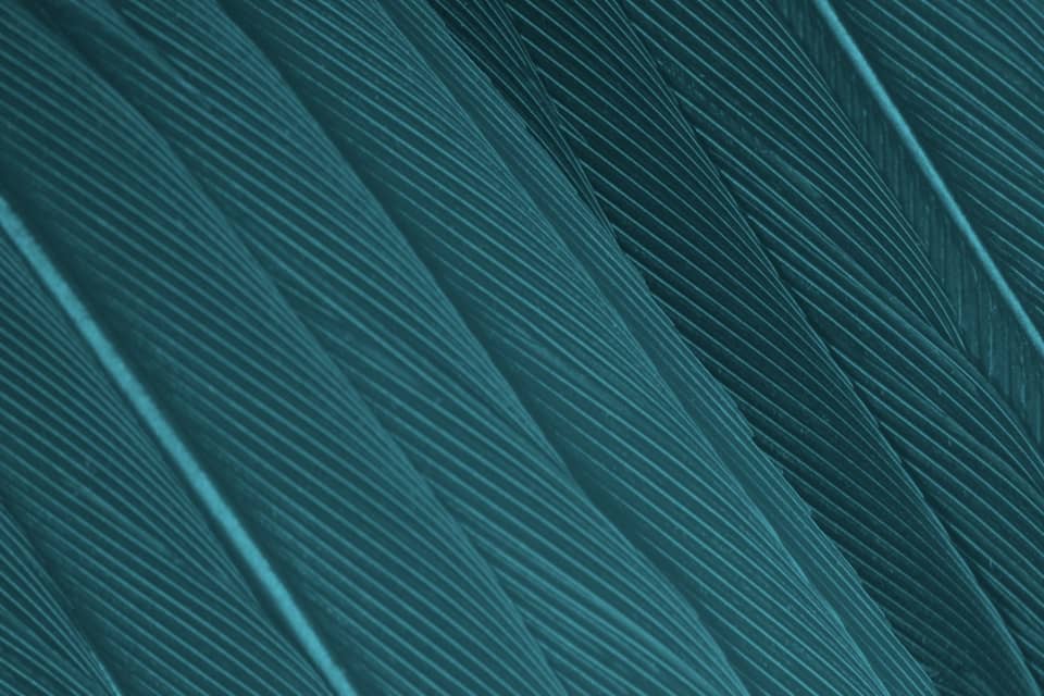 pattern-UE8EGJ5 research background