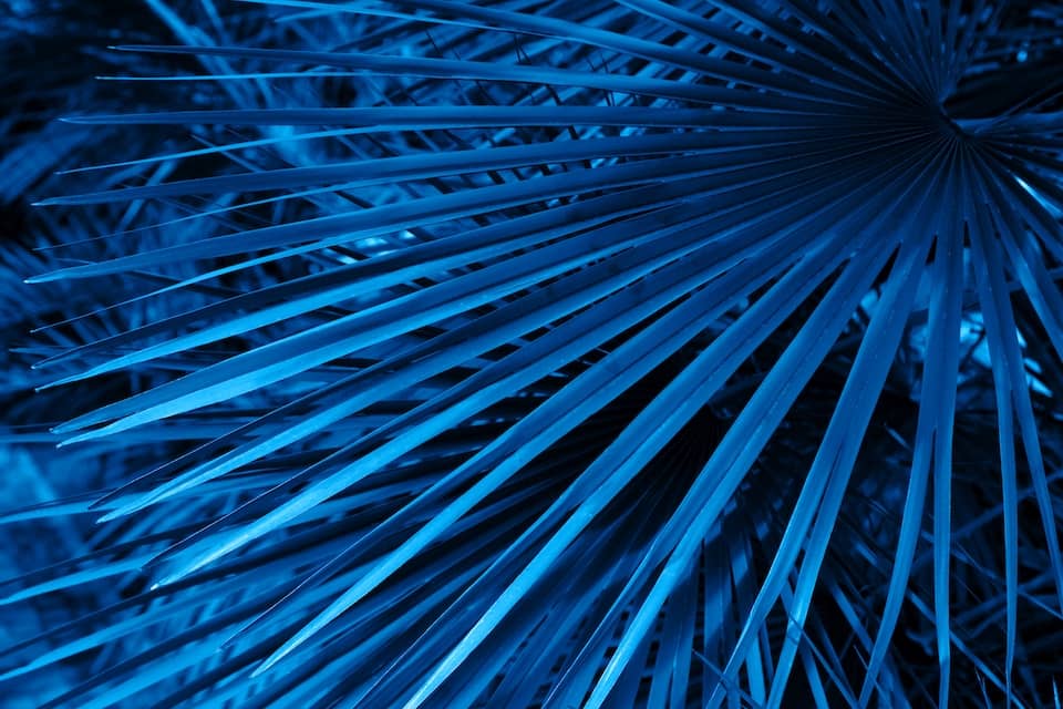 pattern-WLVY4PY research background