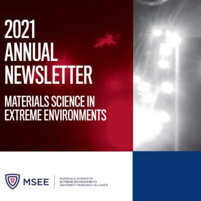 MSEE Publishes First Annual Newsletter