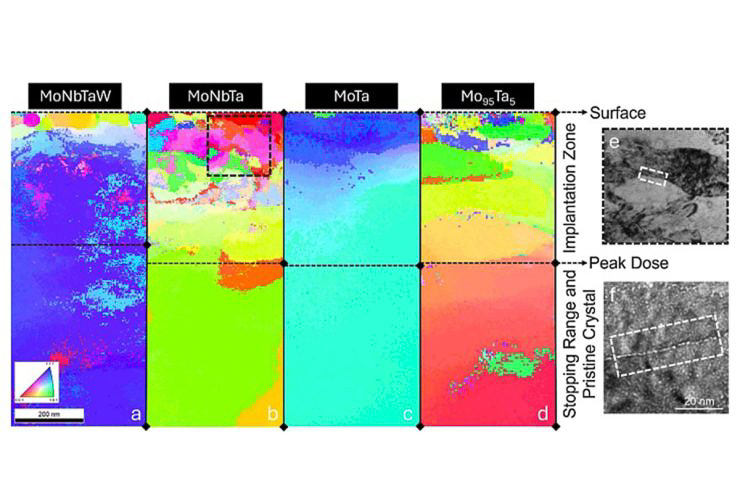 Orientation maps and TEM images showing fine-grained structures and new grain boundaries formed by radiation-induced dynamic recrystallization in Mo-based alloys